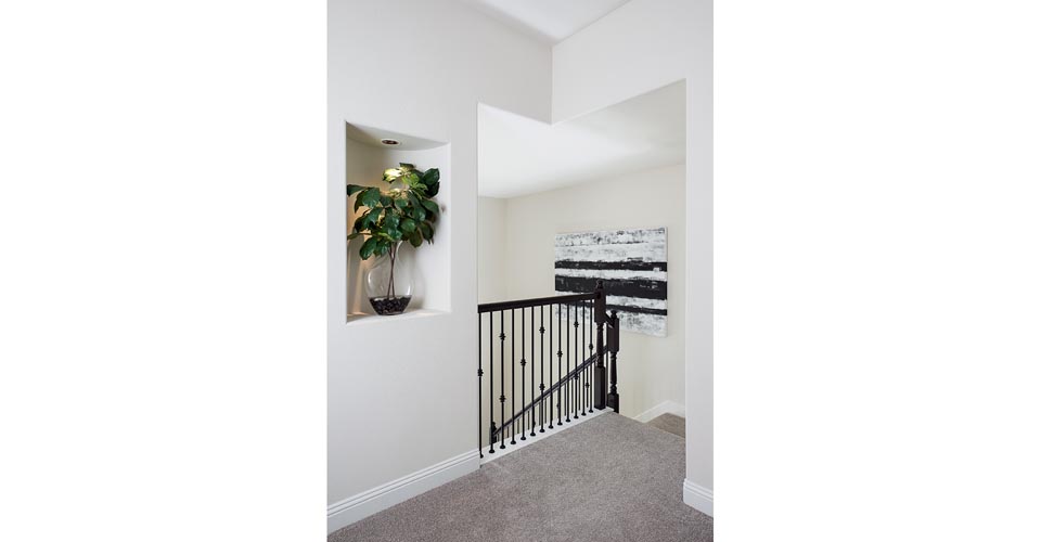 Riverwalk Flower Mound Homes Best Flower Site