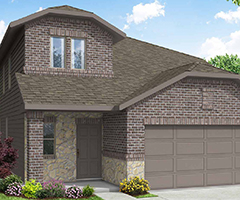 Maple - Elevation L