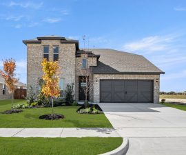 741 Scarlet Sage- myrtle creek-waxahachie-Front-1