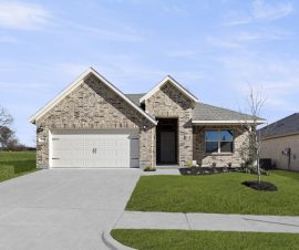 7816 Kingfisher -aubrey-belmont- Front